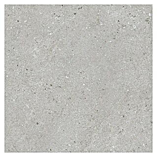 Pavimento porcelánico Balance (90 x 90 cm, Gris, Mate)