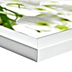 Gerahmtes Bild Oversized (124 x 50 cm, Weiß)