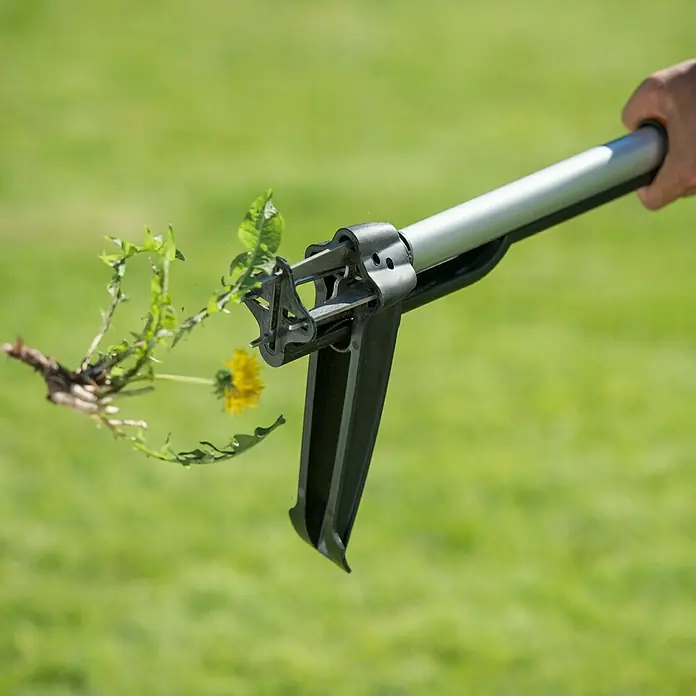 Fiskars Teleskop-Unkrautstecher SmarFit - Länge Stiel: 99 cm - 119 cm - Nahaufnahme eines Dandelion Weed Pullers im Einsatz, der in einem grünen Garten einen Löwenzahn entfernt. Praktisches Gartenwerkzeug.