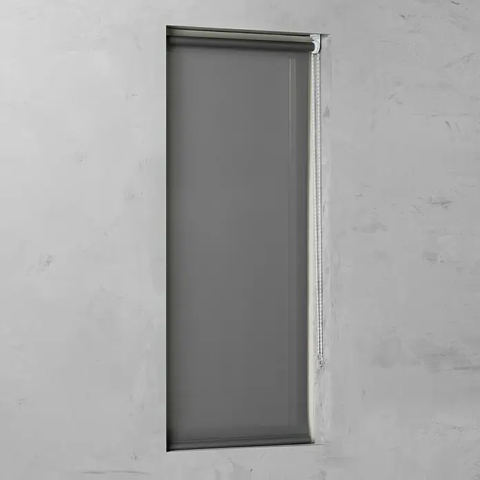 Rollo Basic - B x H: 60 x 175 cm, Grau, Uni, Tageslichtdurchlässig - Graue Rollos sind vollständig geschlossen und verdecken das Fenster. Stilvolles und funktionales Design für jeden Raum.