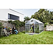 Vitavia Gewächshaus (3,21 x 1,95 x 1,97 m, Farbe: Silbergrau, Polycarbonat, 6 mm)