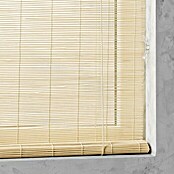 Bambusrollo Basic (B x H: 100 x 160 cm, Natur)