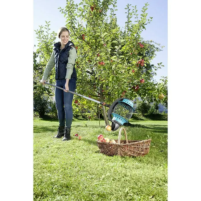 Gardena Combisystem Rollsammler - Mit Stiel, 130 cm - Frau erntet Äpfel mit einem GARDENA Obstpflücker in ihrem Garten. Der Korb ist schon gut gefüllt mit reifen Äpfeln.