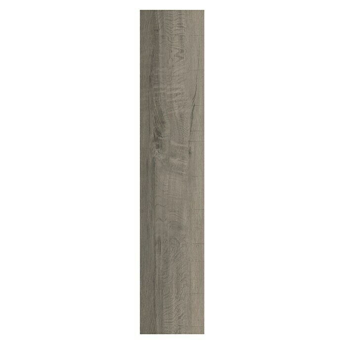 Vinylboden Sly XXL Cotton Oak (1.510 x 300 x 7 mm, Landhausdiele)