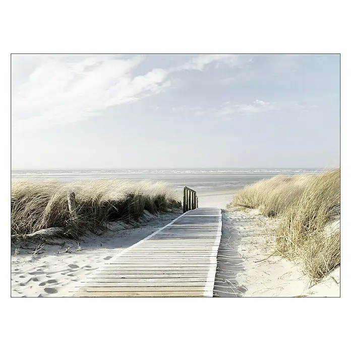 ProArt Young Living Leinwandbild - Seeblick III, B x H: 80 x 60 cm - Ein Holzsteg führt durch Sanddünen zum Strand unter einem hellen Himmel. Die Holzplanken sind der Mittelpunkt des friedlichen Küstenbildes.