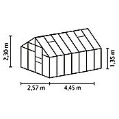 Vitavia Gewächshaus Merkur 11500 Plus (4,45 x 2,57 x 2,3 m, Farbe: Anthrazit, Einscheibensicherheitsglas (ESG), 3 mm)