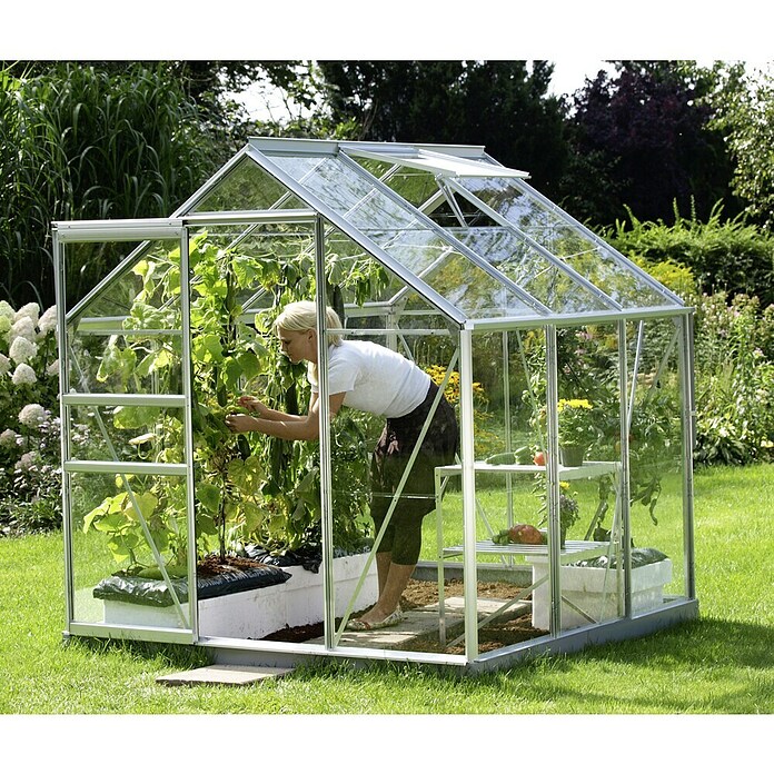 Vitavia Gewächshaus Venus 3800 (1,95 x 1,95 x 1,97 m, Farbe: Silbergrau, Einscheibensicherheitsglas (ESG), 3 mm)