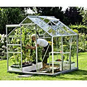 Vitavia Gewächshaus Venus 3800 (1,95 x 1,95 x 1,97 m, Farbe: Silbergrau, Einscheibensicherheitsglas (ESG), 3 mm)