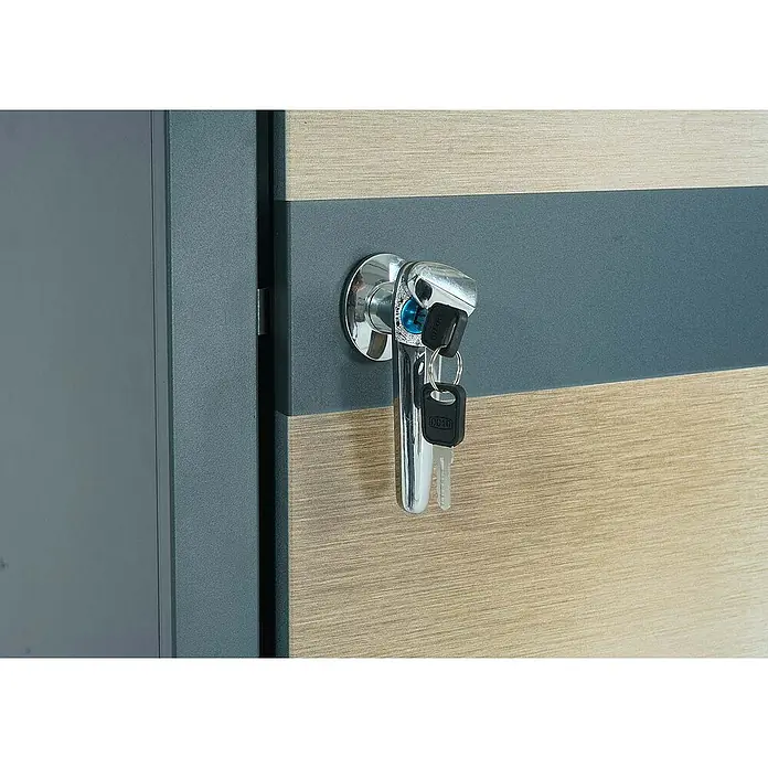 Proregal Mülltonnenbox 1er Mülltonnenverkleidung - 68 x 80 cm, Metall, Gold-Optik, Geeignet für Anzahl Mülltonnen: 1 Stk. - Nahaufnahme eines Schranks mit einem markanten Schloss und Schlüsseln, das die Funktionalität und Sicherheit des Produkts betont.