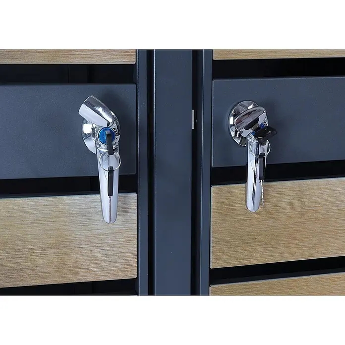 Proregal Mülltonnenbox 2er Mülltonnenverkleidung - 132 x 80 cm, Metall, Gold-Optik, Geeignet für Anzahl Mülltonnen: 2 Stk. - Nahaufnahme von zwei abschließbaren Schränken mit Schlüsseln, die die Sicherheitsmerkmale des Schranks hervorheben.