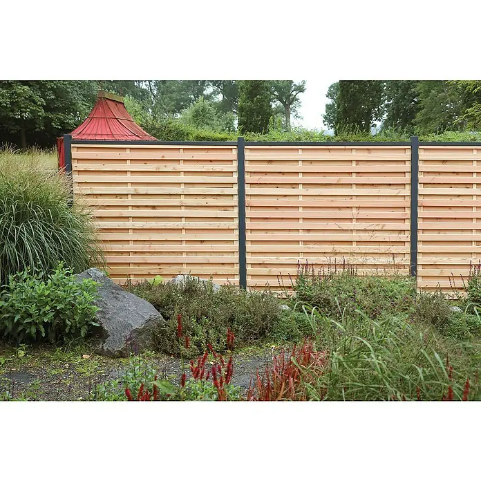 Joda Sichtschutzelement Kingston - B x H: 180 x 180 cm, Lärche, Natur - Ein horizontaler Holzzaun mit schwarzen Pfosten und üppiger Vegetation im Vordergrund, der einen modernen und natürlichen Look verleiht.
