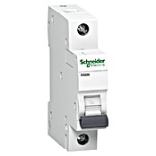 Schneider Electric Odklopno stikalo K60N  (Značilnost sprožanja: B, 16 A, Nazivni preostali tok: 6 kA, Število polov: 1 kos) | 3300 - Sicherungsautomat Marke | CBFA - Reiheneinbaugeräte | CBF - Hausinstallation | CB - Elektroinstallation | C - Elektro | BAUHAUS