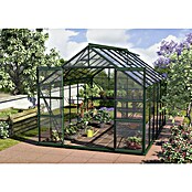 Vitavia Gewächshaus (3,83 x 2,57 x 2,3 m, Farbe: Smaragd, Einscheibensicherheitsglas (ESG), 3 mm)