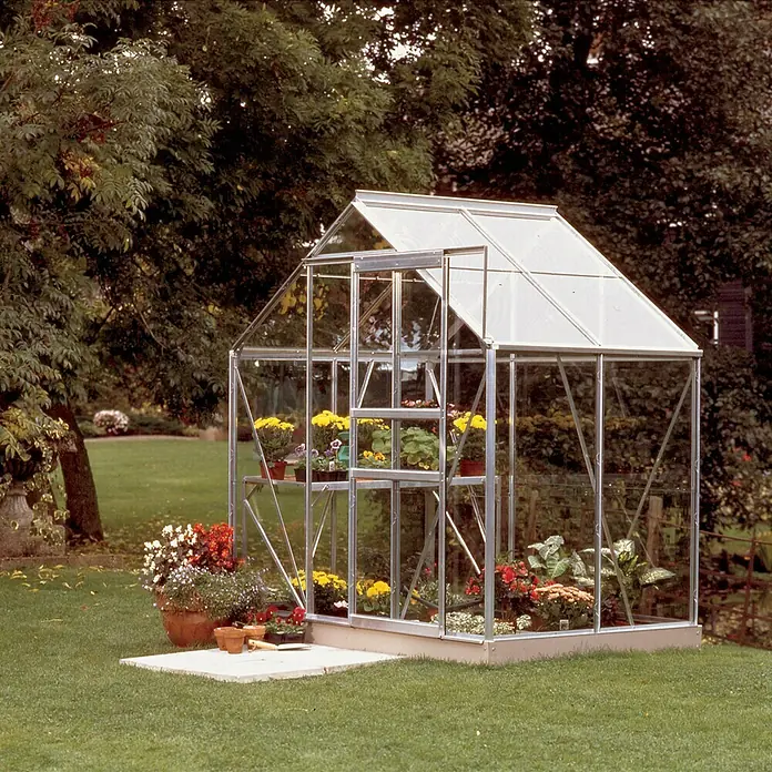 Vitavia Gewächshaus Venus 2500 Plus - Außenmaß inkl. Dachüberstand (B x T): 195 x 131 cm, 3 mm, Aluminium - Ein Gewächshaus mit Pflanzen darin steht im Garten. Es bietet Schutz und ideale Bedingungen für das Wachstum verschiedener Blumen und Pflanzen.