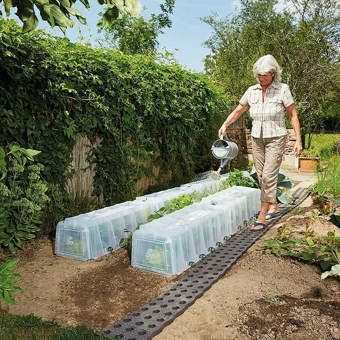 Garantia Sunny Pflanztunnel - 40 x 105 x 30 cm, Kunststoff, Transparent - Eine Frau gießt Pflanzen unter Mini-Gewächshäusern mit einer Gießkanne in einem Garten.