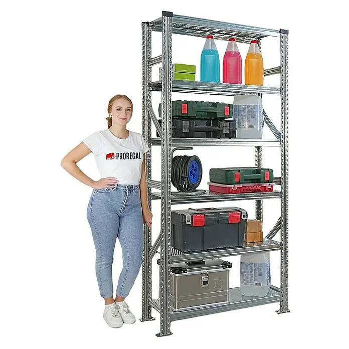 Proregal Metallregal Fachbodenregal PROXIMO Grundregal - Traglast pro Boden: 200 kg, Anzahl Böden: 6 Stk., Stecken, Verzinkt - Ein hohes, silbernes Metallregal mit sechs Regalböden, auf denen Werkzeugkisten und Behälter stehen. Eine Frau steht daneben für Größenvergleich.