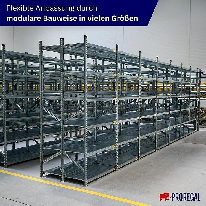 Proregal Metallregal Fachbodenregal PROXIMO 1x Grundregal + 3x Anbauregal - Traglast pro Boden: 200 kg, Anzahl Böden: 6 Stk., Stecken, Verzinkt - Aufnahme eines Regalsystems. Das Regalsystem ist modular aufgebaut und in verschiedenen Größen erhältlich, was Flexibilität verspricht.