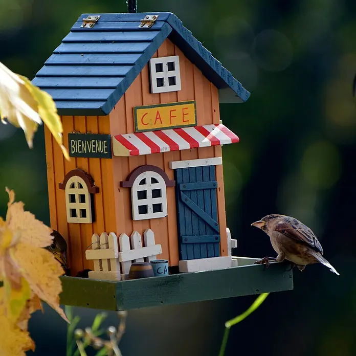 Dobar Vogelhaus Café - 18 x 18 x 23 cm, Holz, Bunt - Ein farbenfrohes Vogelhaus in Form eines Cafés, mit einem Spatz, der darauf sitzt und die Szene belebt.
