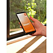 Osram Smart+ Überwachungskamera Fixed (Passend für: Alarmsystem, Smart Home System) | BAUHAUS