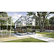 Vitavia Gewächshaus Freya 7600 Plus (2,92 x 2,58 x 2,4 m, Farbe: Anthrazit, Einscheibensicherheitsglas (ESG))