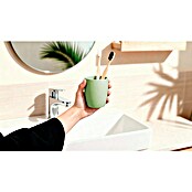 Venus Flakoni Lonček za zobne ščetke  (Zelena, Polirezin) | 3715 - Einzelaccessoires | DADD - Accessoires | DAD - Badausstattung | DA - Badausstattung/Bäderwelt | D - Sanitär | BAUHAUS
