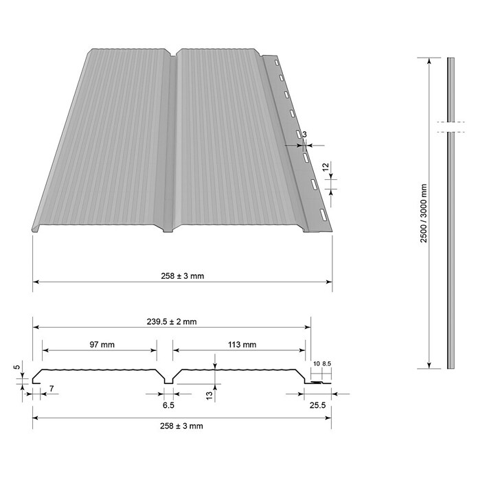 Metdach Fassadenpaneel SG Siding (Anthrazit, 250 x 26 cm, Stahl, Micro Sinus) | BAUHAUS