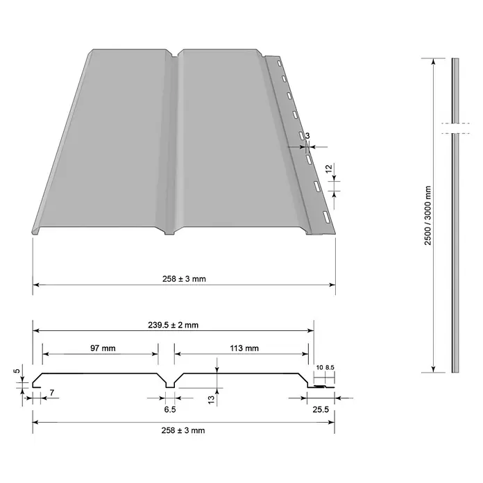 Metdach Fassadenpaneel SG Siding - Anthrazit, 250 x 26 cm, Stahl, Glatt - Technische Zeichnung eines Fassadenprofils mit Maßangaben zu Länge, Breite und Dicke in Millimetern.
