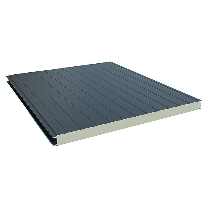 Fassadenpaneel Sandwich PUR (Anthrazit, L x B: 250 x 100 cm, Stahl) | BAUHAUS
