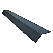 Traufblech für SW Dachpaneele (Anthrazit, Länge: 200 cm, Stahl) | BAUHAUS
