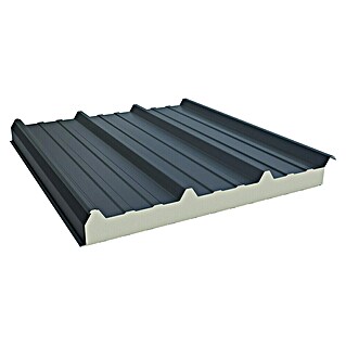 Sandwichplatte Wand- & Dachpaneele (Anthrazit, L x B: 400 x 100 cm, Stahl)