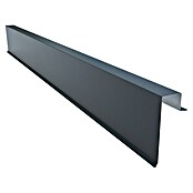 Kantenwinkel für SW Dachpaneele (Anthrazit, Länge: 200 cm, Stahl) | BAUHAUS