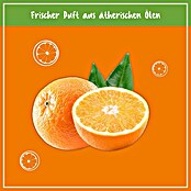 Poliboy Küchenreiniger