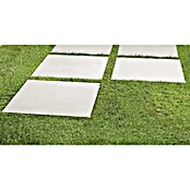 Art-Tec by Palazzo Terrassenfliese (60 x 60 x 2 cm, Creme, Matt)