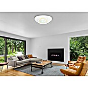 Globo LED stropna svjetiljka Jocelyn  (40 W, D x Š x V: 50,2 x 48,8 x 6,5 cm, Bijela, Topla bijela) | BAUHAUS