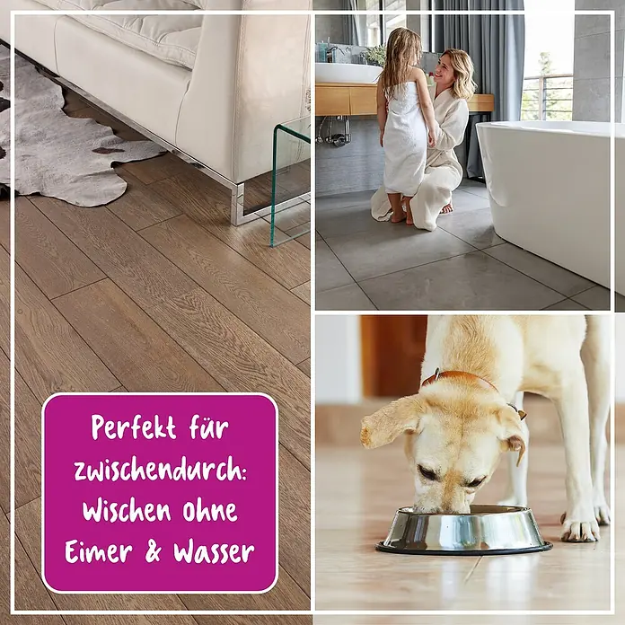 Poliboy Feuchttücher Fliesen - 15 Stk. - Das Bild zeigt verschiedene Bodenbeläge, die leicht zu reinigen sind: Laminat, Fliesen und ein Hund, der frisst. Ideal für die schnelle Reinigung ohne Eimer.