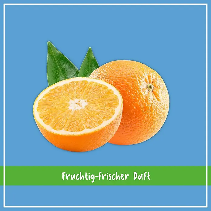 Poliboy Reinigungsmittel Laminat - 500 ml - Ein frischer, fruchtiger Duft von saftigen Orangen. Die perfekte Mischung aus Süße und Säure für ein belebendes Erlebnis.