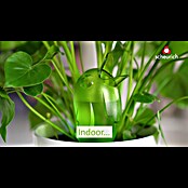 Scheurich Wasserspender Bördy XXL Indoor (1 l, Grün) | BAUHAUS