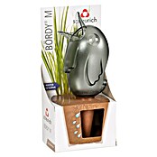 Scheurich Wasserspender Bördy M Indoor (220 ml, Grau) | BAUHAUS