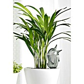 Scheurich Wasserspender Bördy M Indoor (220 ml, Grau) | BAUHAUS