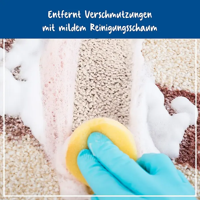 Poliboy Reinigungsmittel Polster Teppich Reiniger - 500 ml, Flasche - Bild eines Teppichs, der mit mildem Reinigungsschaum gereinigt wird, wobei ein gelber Schwamm und ein blauer Handschuh zum Einsatz kommen.