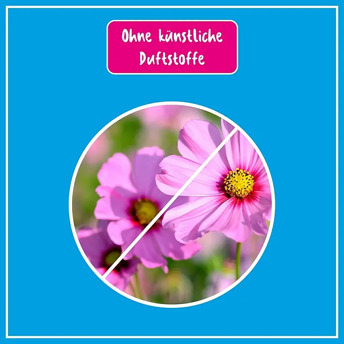 Poliboy Geruchsentferner Geruchs Stopp - 500 ml, Flasche mit Sprühkopf - Das Bild zeigt eine Illustration des Produkts, das keine künstlichen Duftstoffe enthält. Es zeigt pinkfarbene Blumen, durchgestrichen.
