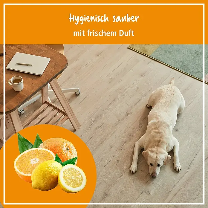 Poliboy Reinigungskonzentrat Vinyl- & Designbelag - 500 ml, Flasche - Das Bild zeigt einen sauberen Boden mit frischem Duft, der durch ein Reinigungsprodukt mit Zitrusnoten erzielt wurde.
