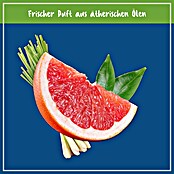 Poliboy Bio Reinigungskonzentrat für Wischroboter (1 l, Flasche) | BAUHAUS