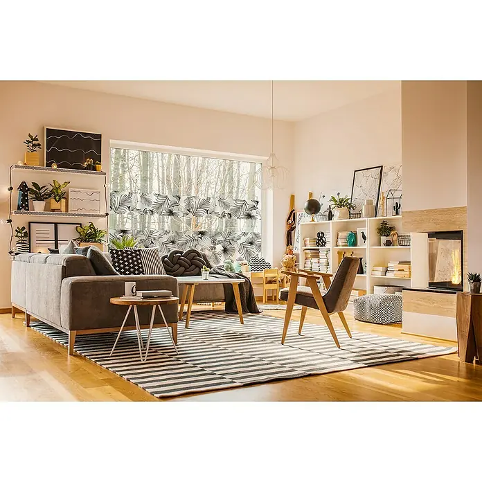 D-c-fix Static Glasfolie Botanicals - 150 x 45 cm, Transluzent, Statisch haftend - Gemütliches Wohnzimmer mit grauem Sofa, Couchtisch und Bücherregal. Der gestreifte Teppich und das helle Holz verleihen dem Raum Wärme.