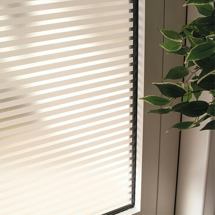 D-c-fix Static Glasfolie Linia (150 x 45 cm, Transluzent, Statisch haftend) | BAUHAUS
