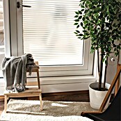 D-c-fix Static Glasfolie Linia (150 x 45 cm, Transluzent, Statisch haftend) | BAUHAUS