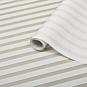 D-c-fix Static Glasfolie Linia (150 x 45 cm, Transluzent, Statisch haftend) | BAUHAUS