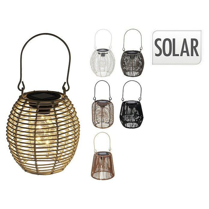 Solar-decoratielamp (Ø x h: 15 x 16 cm, Meerkleurig) | BAUHAUS