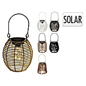 Solar-decoratielamp (Ø x h: 15 x 16 cm, Meerkleurig) | BAUHAUS