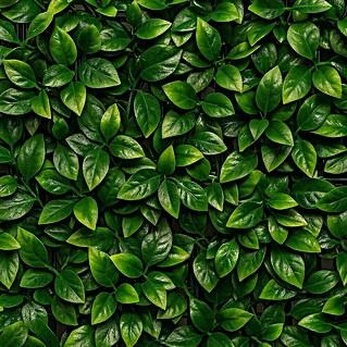 Jardín vertical Laurel (Plástico, L x An: 100 x 100 cm, 1 ud.)